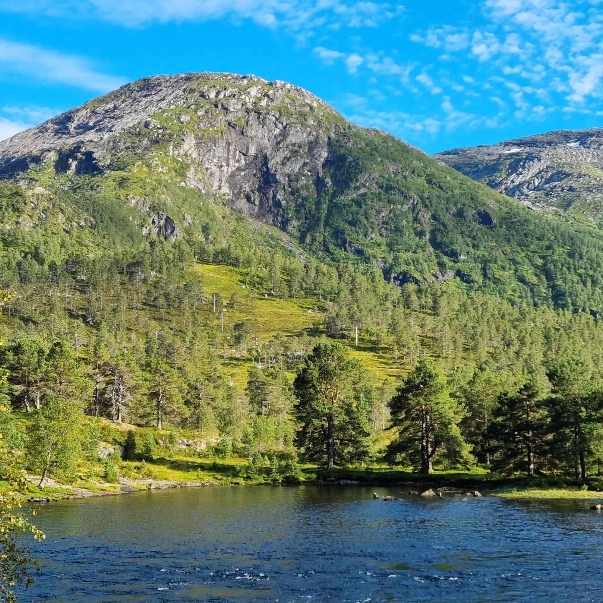 Flatheim Glamping Viksdalen Exterior foto